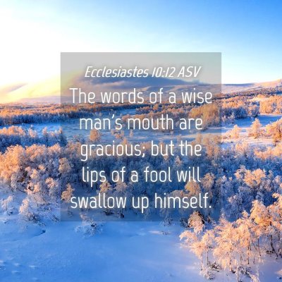 Picture 04 - Ecclesiastes 10:12 ASV - The words of a wise man's mouth are gracious; but - Bible Verse Picture