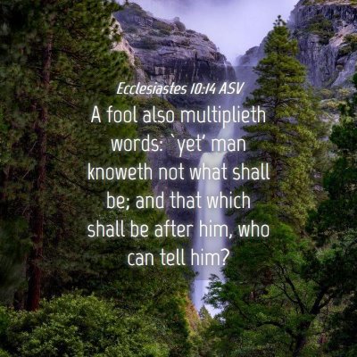 Picture 04 - Ecclesiastes 10:14 ASV - A fool also multiplieth words: `yet' man knoweth - Bible Verse Picture