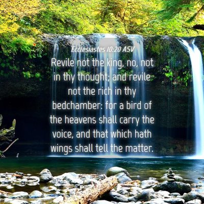Picture 04 - Ecclesiastes 10:20 ASV - Revile not the king, no, not in thy thought; and - Bible Verse Picture