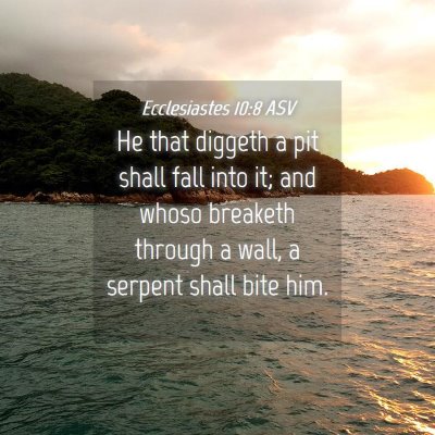 Picture 04 - Ecclesiastes 10:8 ASV - He that diggeth a pit shall fall into it; and - Bible Verse Picture