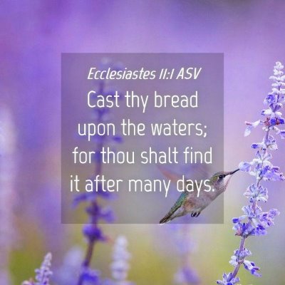 Picture 04 - Ecclesiastes 11:1 ASV - Cast thy bread upon the waters; for thou shalt - Bible Verse Picture