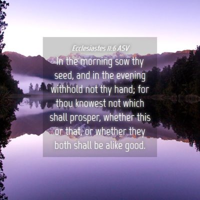 Picture 04 - Ecclesiastes 11:6 ASV - In the morning sow thy seed, and in the evening - Bible Verse Picture