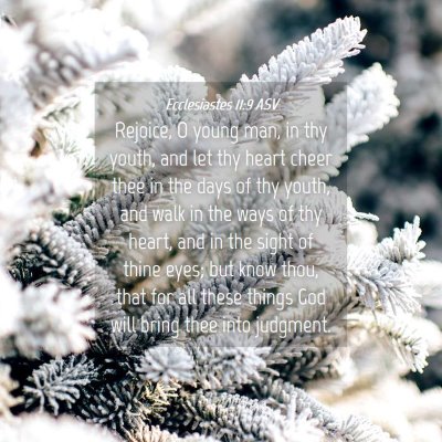 Picture 04 - Ecclesiastes 11:9 ASV - Rejoice, O young man, in thy youth, and let thy - Bible Verse Picture