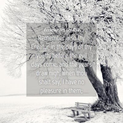 Picture 04 - Ecclesiastes 12:1 ASV - Remember also thy Creator in the days of thy - Bible Verse Picture