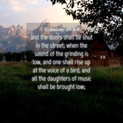 Picture 04 - Ecclesiastes 12:4 ASV - and the doors shall be shut in the street; when - Bible Verse Picture