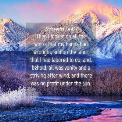 Picture 04 - Ecclesiastes 2:11 ASV - Then I looked on all the works that my hands had - Bible Verse Picture
