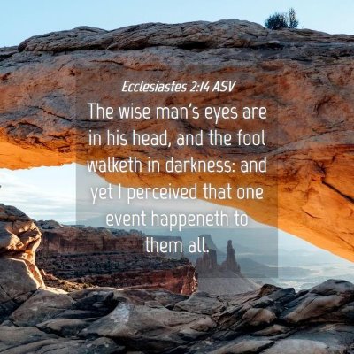 Picture 04 - Ecclesiastes 2:14 ASV - The wise man's eyes are in his head, and the fool - Bible Verse Picture