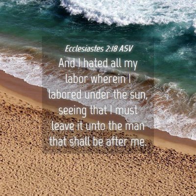 Picture 04 - Ecclesiastes 2:18 ASV - And I hated all my labor wherein I labored under - Bible Verse Picture