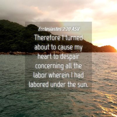 Picture 04 - Ecclesiastes 2:20 ASV - Therefore I turned about to cause my heart to - Bible Verse Picture