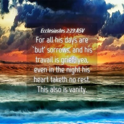Picture 04 - Ecclesiastes 2:23 ASV - For all his days are `but' sorrows, and his - Bible Verse Picture
