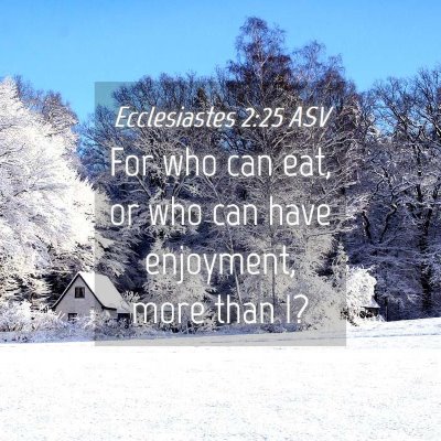 Picture 04 - Ecclesiastes 2:25 ASV - For who can eat, or who can have enjoyment, more - Bible Verse Picture