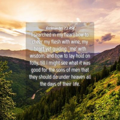 Picture 04 - Ecclesiastes 2:3 ASV - I searched in my heart how to cheer my flesh with - Bible Verse Picture