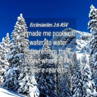 Picture 04 - Ecclesiastes 2:6 ASV - I made me pools of water, to water therefrom the - Bible Verse Picture