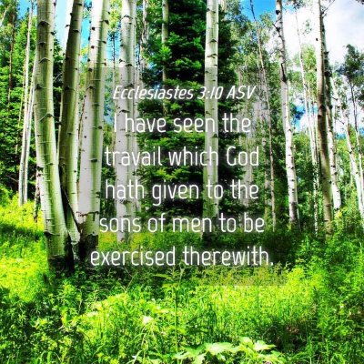 Picture 04 - Ecclesiastes 3:10 ASV - I have seen the travail which God hath given to - Bible Verse Picture