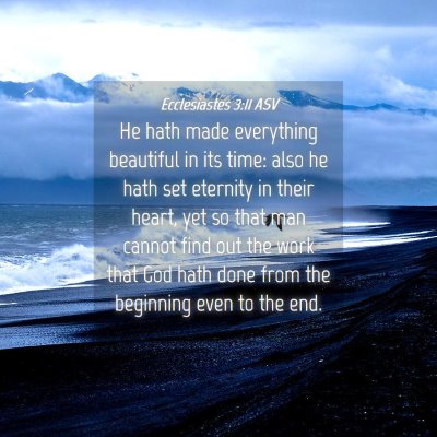 Picture 04 - Ecclesiastes 3:11 ASV - He hath made everything beautiful in its time: - Bible Verse Picture