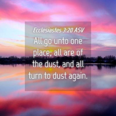 Picture 04 - Ecclesiastes 3:20 ASV - All go unto one place; all are of the dust, and - Bible Verse Picture