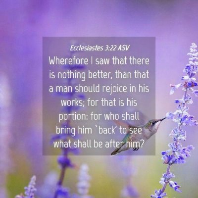 Picture 04 - Ecclesiastes 3:22 ASV - Wherefore I saw that there is nothing better, - Bible Verse Picture