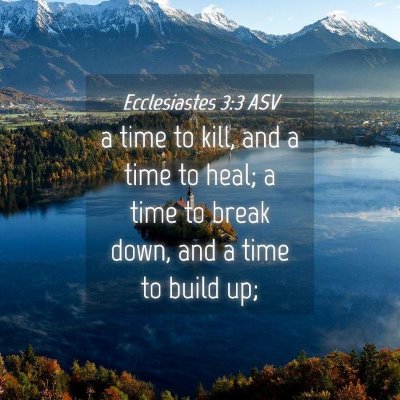 Picture 04 - Ecclesiastes 3:3 ASV - a time to kill, and a time to heal; a time to - Bible Verse Picture