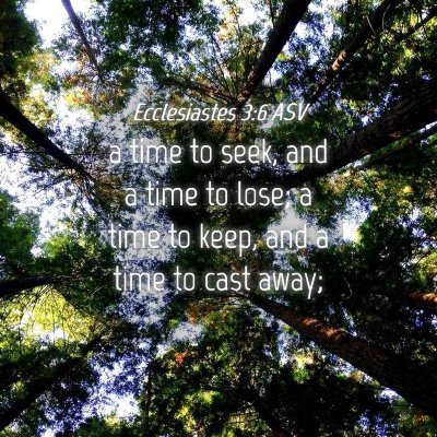 Picture 04 - Ecclesiastes 3:6 ASV - a time to seek, and a time to lose; a time to - Bible Verse Picture