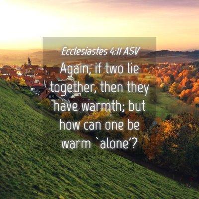 Picture 04 - Ecclesiastes 4:11 ASV - Again, if two lie together, then they have - Bible Verse Picture
