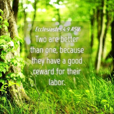 Picture 04 - Ecclesiastes 4:9 ASV - Two are better than one, because they have a good - Bible Verse Picture