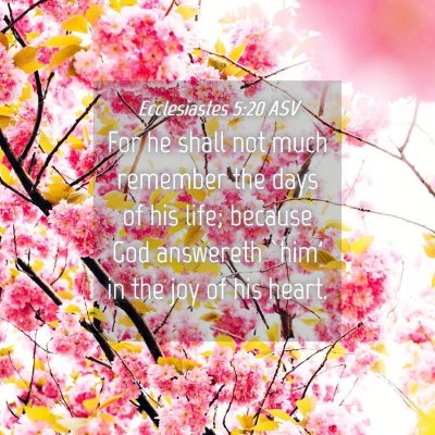 Picture 04 - Ecclesiastes 5:20 ASV - For he shall not much remember the days of his - Bible Verse Picture