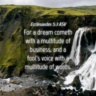 Picture 04 - Ecclesiastes 5:3 ASV - For a dream cometh with a multitude of business, - Bible Verse Picture