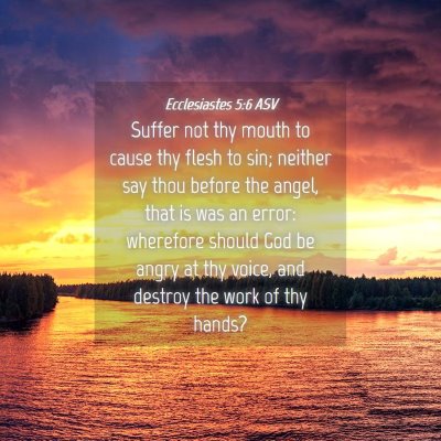 Picture 04 - Ecclesiastes 5:6 ASV - Suffer not thy mouth to cause thy flesh to sin; - Bible Verse Picture