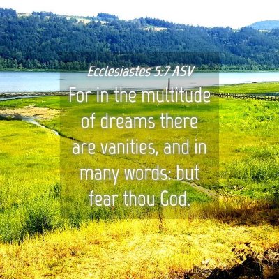 Picture 04 - Ecclesiastes 5:7 ASV - For in the multitude of dreams there are - Bible Verse Picture