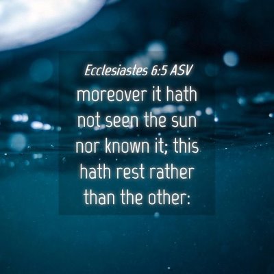 Picture 04 - Ecclesiastes 6:5 ASV - moreover it hath not seen the sun nor known it; - Bible Verse Picture