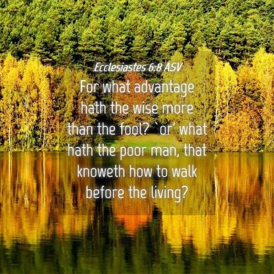 Picture 04 - Ecclesiastes 6:8 ASV - For what advantage hath the wise more than the - Bible Verse Picture