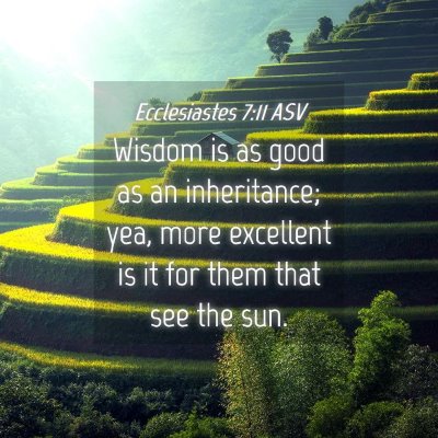 Picture 04 - Ecclesiastes 7:11 ASV - Wisdom is as good as an inheritance; yea, more - Bible Verse Picture
