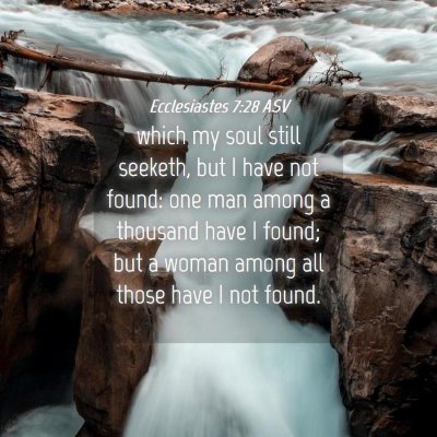 Picture 04 - Ecclesiastes 7:28 ASV - which my soul still seeketh, but I have not - Bible Verse Picture