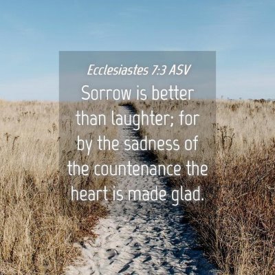 Picture 04 - Ecclesiastes 7:3 ASV - Sorrow is better than laughter; for by the - Bible Verse Picture