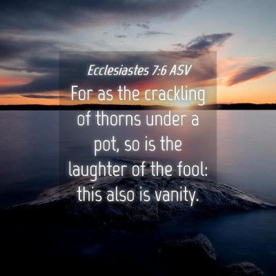 Picture 04 - Ecclesiastes 7:6 ASV - For as the crackling of thorns under a pot, so is - Bible Verse Picture