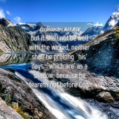 Picture 04 - Ecclesiastes 8:13 ASV - but it shall not be well with the wicked, neither - Bible Verse Picture