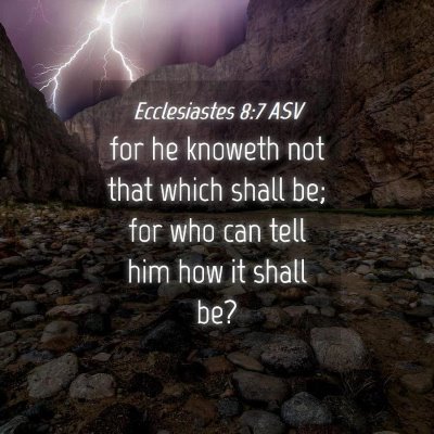 Picture 04 - Ecclesiastes 8:7 ASV - for he knoweth not that which shall be; for who - Bible Verse Picture