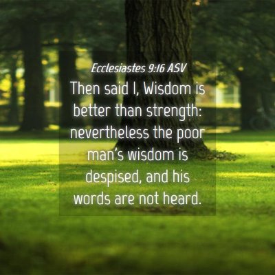 Picture 04 - Ecclesiastes 9:16 ASV - Then said I, Wisdom is better than strength: - Bible Verse Picture