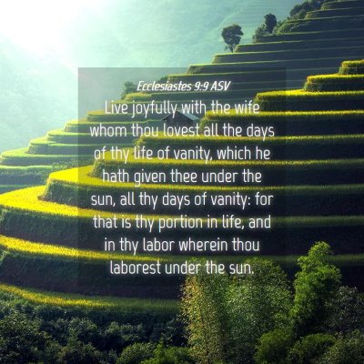 Picture 04 - Ecclesiastes 9:9 ASV - Live joyfully with the wife whom thou lovest all - Bible Verse Picture