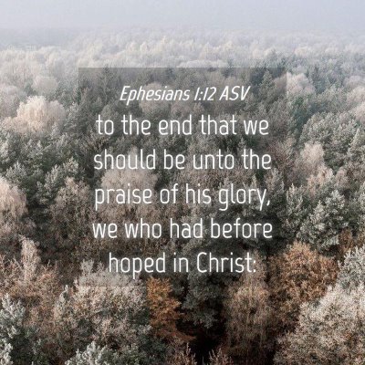 Picture 04 - Ephesians 1:12 ASV - to the end that we should be unto the praise of - Bible Verse Picture