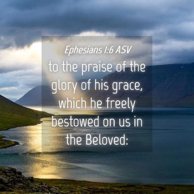 Picture 04 - Ephesians 1:6 ASV - to the praise of the glory of his grace, which he - Bible Verse Picture