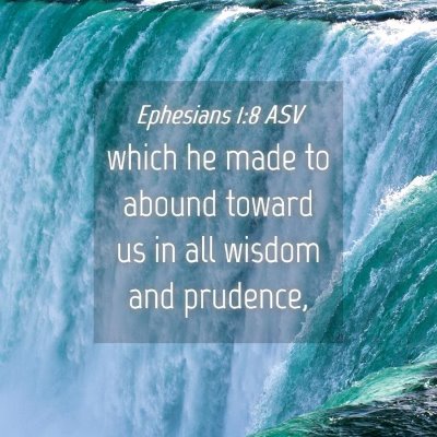 Picture 04 - Ephesians 1:8 ASV - which he made to abound toward us in all wisdom - Bible Verse Picture