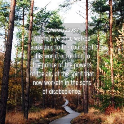 Picture 04 - Ephesians 2:2 ASV - wherein ye once walked according to the course of - Bible Verse Picture