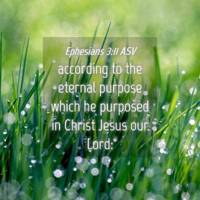 Picture 04 - Ephesians 3:11 ASV - according to the eternal purpose which he - Bible Verse Picture