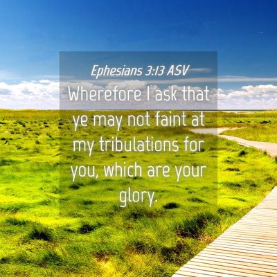 Picture 04 - Ephesians 3:13 ASV - Wherefore I ask that ye may not faint at my - Bible Verse Picture