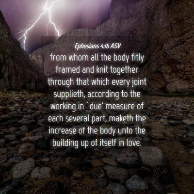 Picture 04 - Ephesians 4:16 ASV - from whom all the body fitly framed and knit - Bible Verse Picture