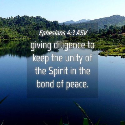 Picture 04 - Ephesians 4:3 ASV - giving diligence to keep the unity of the Spirit - Bible Verse Picture
