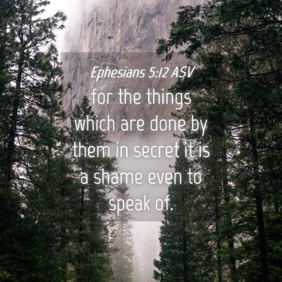 Picture 04 - Ephesians 5:12 ASV - for the things which are done by them in secret - Bible Verse Picture