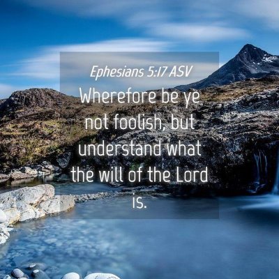 Picture 04 - Ephesians 5:17 ASV - Wherefore be ye not foolish, but understand what - Bible Verse Picture