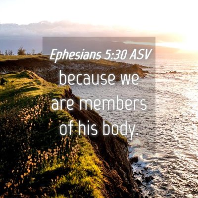 Picture 04 - Ephesians 5:30 ASV - because we are members of his - Bible Verse Picture